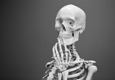 Ostheopatie - Knochen