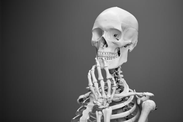 Ostheopatie - Knochen